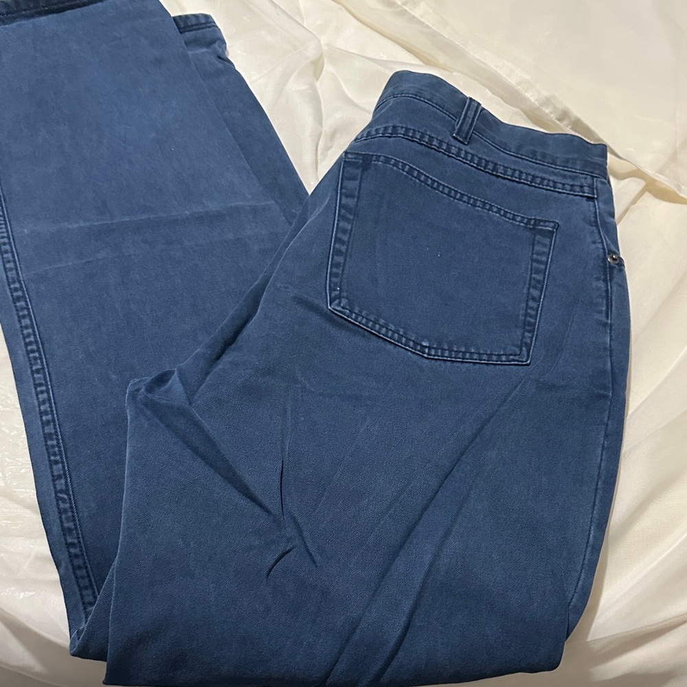 GAP Men's Deep Blue Chinos